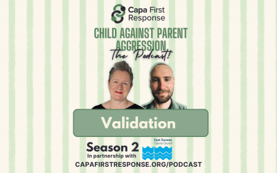 Validation – Season 2 Episode 3