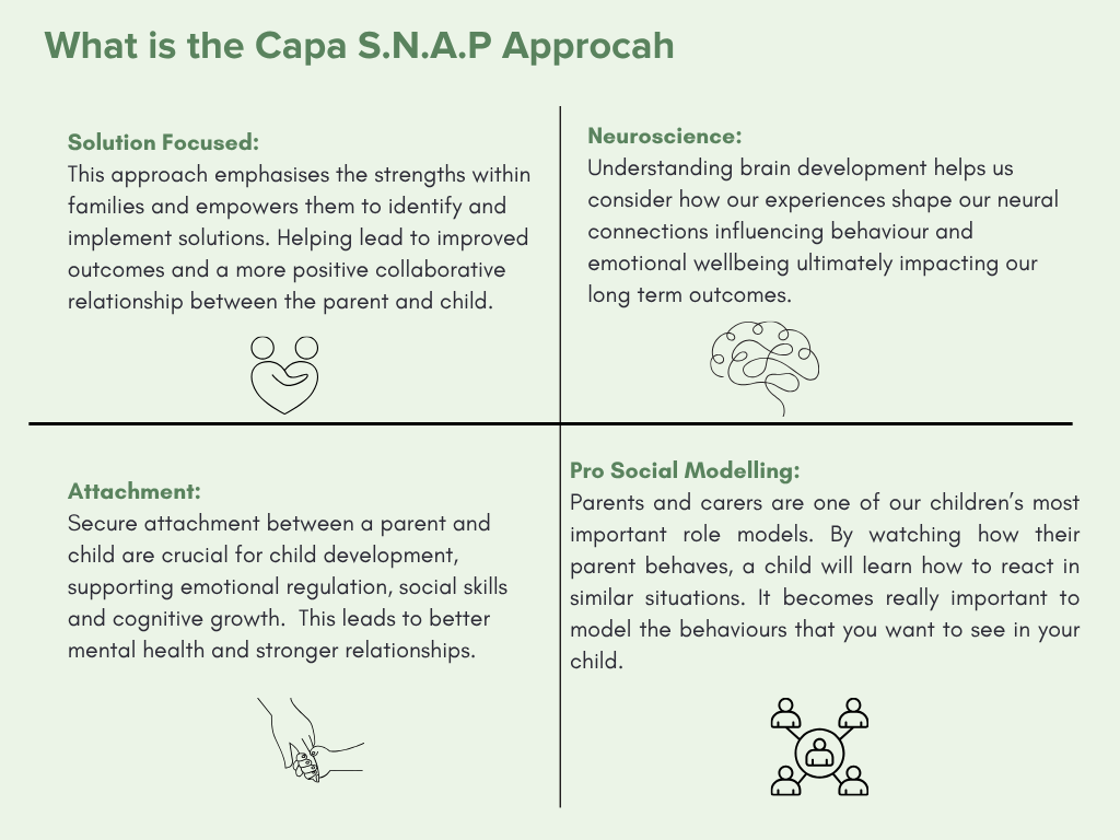 The SNAP approach diagram